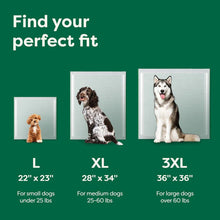 Load image into Gallery viewer, Earth Rated Dog Pee Pads Large