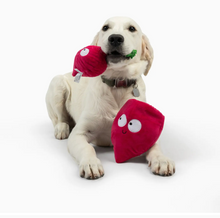 Load image into Gallery viewer, Pop 'n Fetch Beet