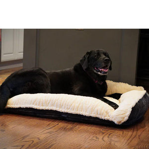 Scout Perfect Bolster Bed Steel
