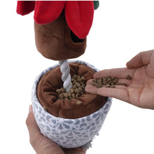 Load image into Gallery viewer, Holiday Poinsettia 16
