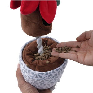 Holiday Poinsettia 16