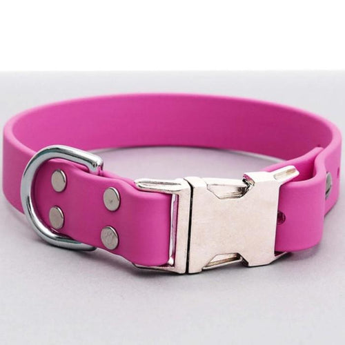 Mimi green Waterproof Leather Alt Collar Raspberry  Brass