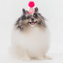 Load image into Gallery viewer, Party hat Light Pink