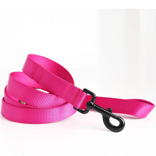 Mimi Green Nylon Webbing  Leash  Raspberry