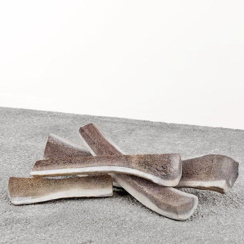 Primal Antler