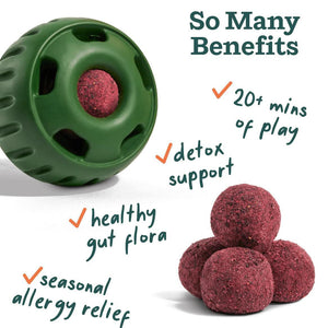Woof Pet Pupsicle Refill Allergy Support