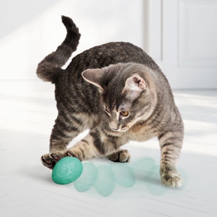 Kong Infused Catnip Egg