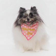 Load image into Gallery viewer, Birthday Girl Bandana