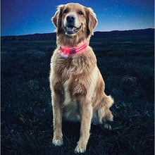 Load image into Gallery viewer, Nite Ize LED Dog Collar Red Sm
