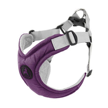 Load image into Gallery viewer, Gooby Memory Foam Harness Purple