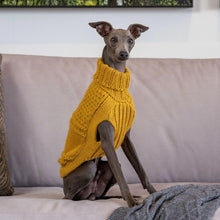 Load image into Gallery viewer, Oscar Mustard Alpaca Dog Sweater