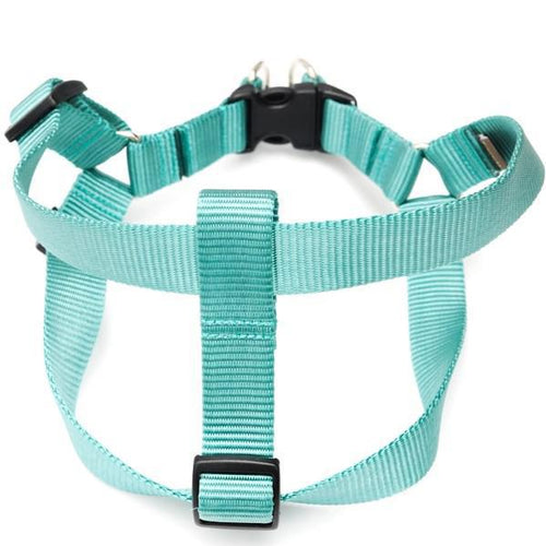 Mimi Green Nylon Webbing Harness Teal