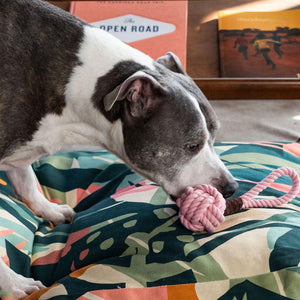 Houndstone Large Rope Dog Toy Pink