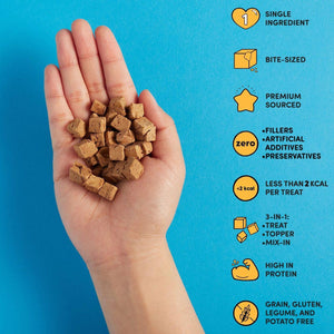 Snaggletooth Teeny Tiny Freeze Dried Raw Duck Liver