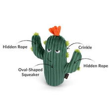 Load image into Gallery viewer, Blooming Buddies Prickly Pup Cactus