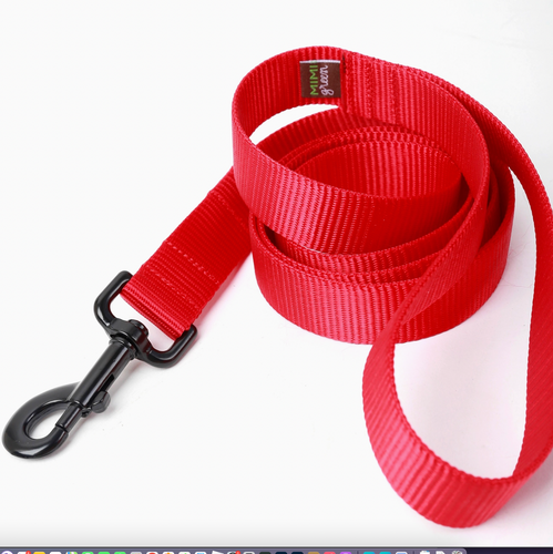Mimi Green Nylon Webbing  Leash Red