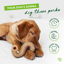 Load image into Gallery viewer, Benebone tripe bone