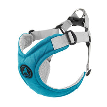 Load image into Gallery viewer, Gooby Memory Foam Harness Turquoise