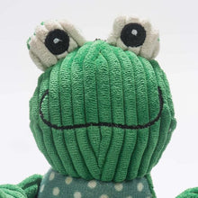Load image into Gallery viewer, Hugglehounds Fergie Frog