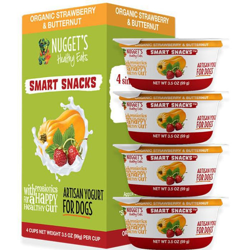 Nugget's frozen yogurt strawberry 3.5oz