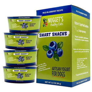 Nugget's frozen yogurt Wild Blueberry 3.5oz