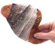 Load image into Gallery viewer, Icelandic Fish Ear Cod Skin Wrapped Pig Ear Dog