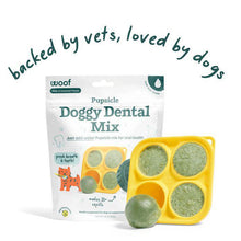 Load image into Gallery viewer, Woof Pet Pupsicle Refill Dental Mix