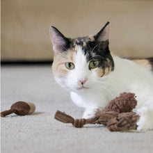 Load image into Gallery viewer, Wee Chippie and His Acorn