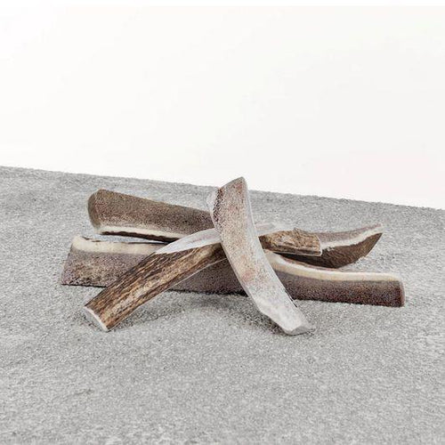Antlers for Dogs Stag Antler