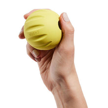 Load image into Gallery viewer, Woof forager flyball single