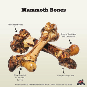 Red Barn dog Mammoth bone