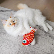 Load image into Gallery viewer, Leo&#39;s Paw Mini Floppy Fish