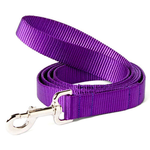 Mimi Green Nylon Webbing  Leash  Purple