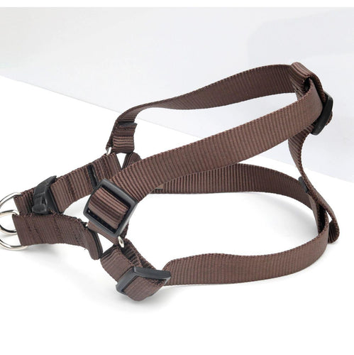 Mimi Green Nylon Webbing  Harness Brown