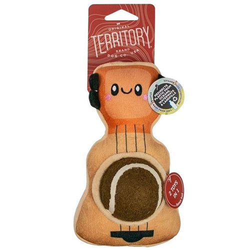 Guitar 2 in 1