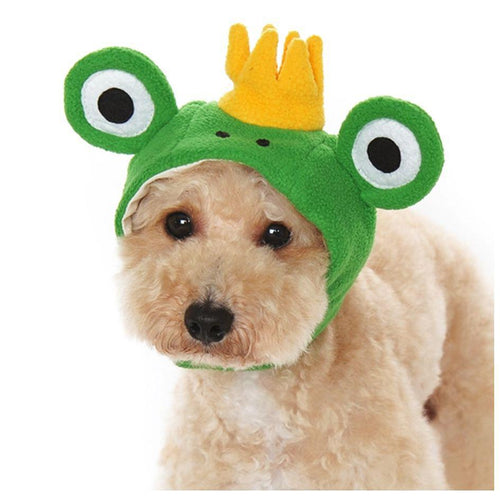 Prince Frog Hat