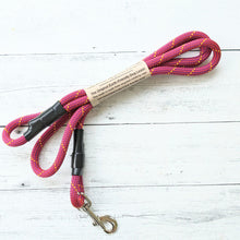 Load image into Gallery viewer, Climbing Rope Clip leash Raspberry