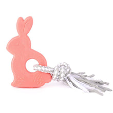 Load image into Gallery viewer, ZippyPaws Zippytuff Teether  Bonnie the bunny
