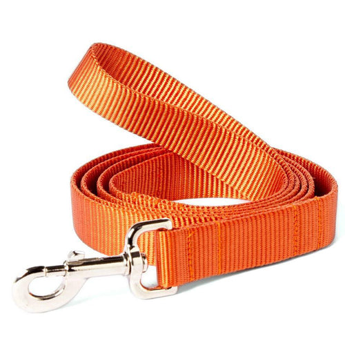 Mimi Green Nylon Webbing Leash Pumpkin