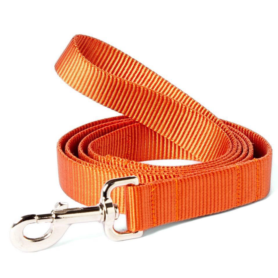 Mimi Green Nylon Webbing Leash Pumpkin