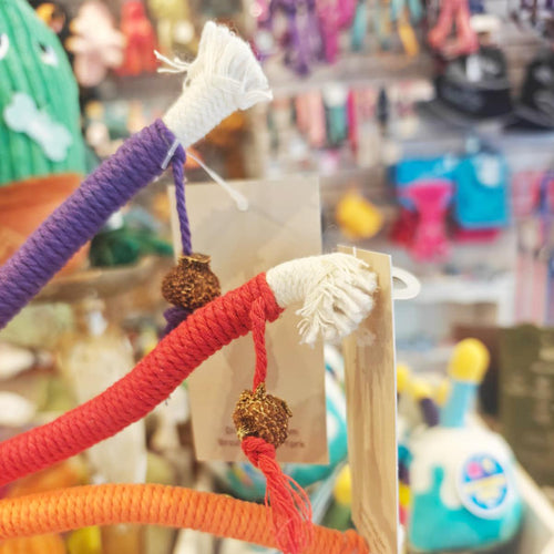 Rainbow Cat Rope Toy