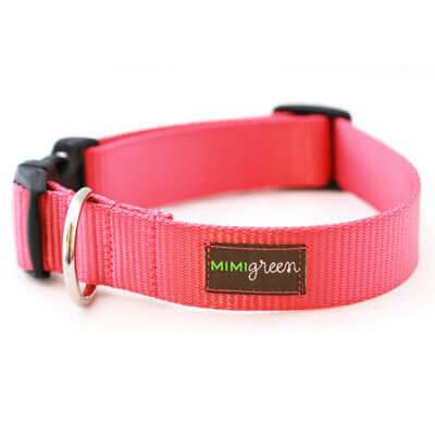 Mimi Green Nylon Webbing Dog Collars Strawberry