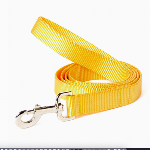 Mimi Green Nylon Webbing  Leash Yellow