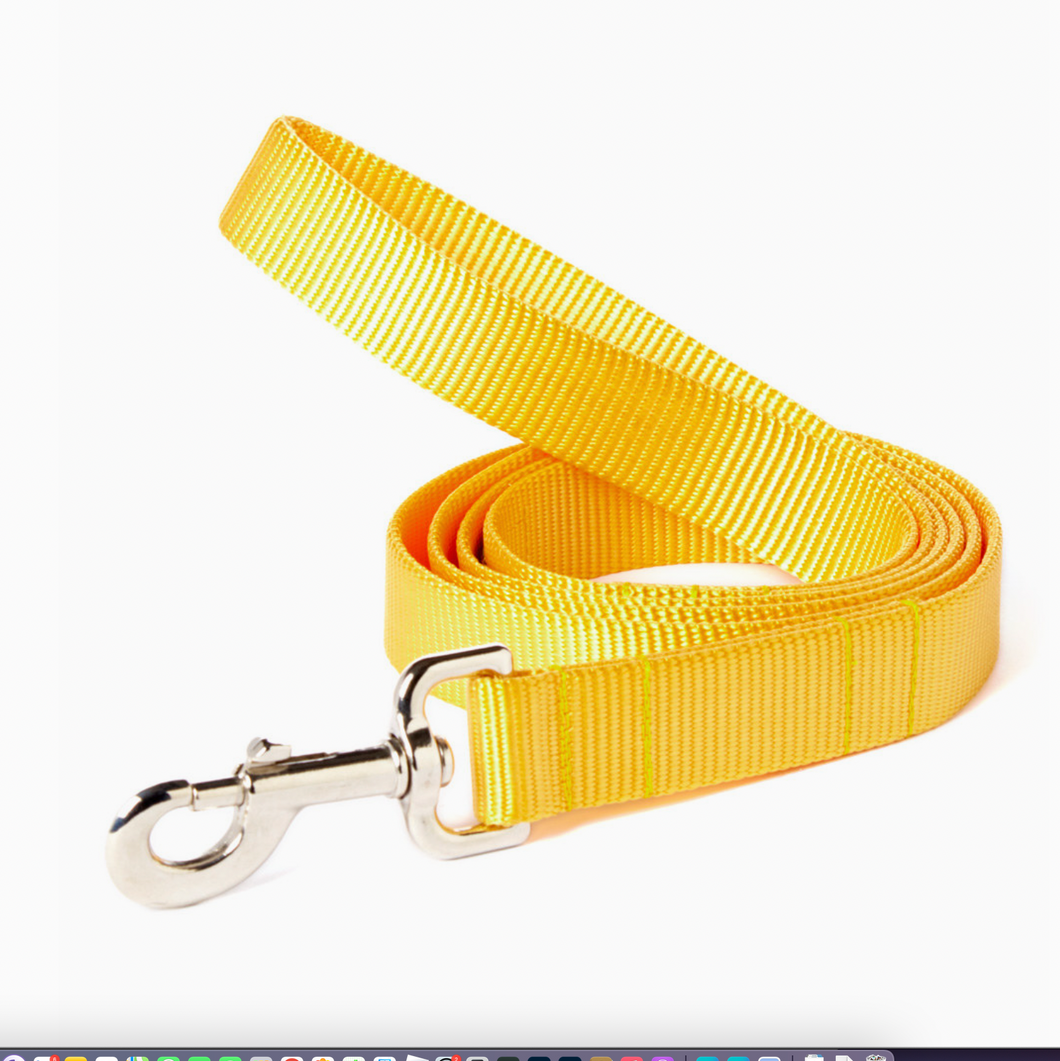 Mimi Green Nylon Webbing  Leash Yellow