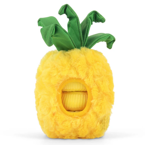Play Find n Seek Pineapple puzzle