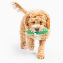 Load image into Gallery viewer, Tiny Tuff Dell Pickle