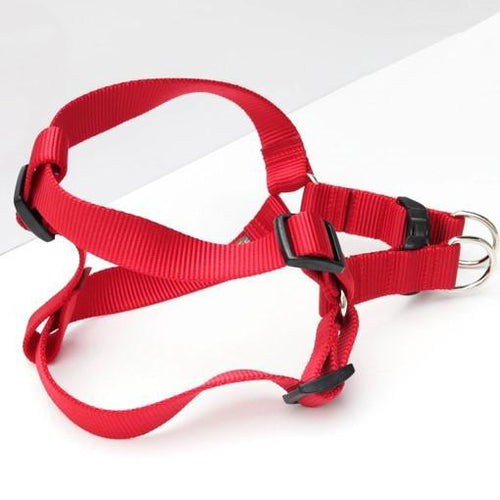 Mimi Green Nylon Webbing Harness  Red