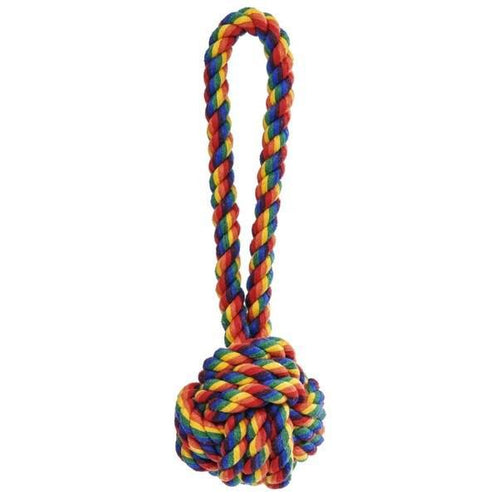 Rainbow Celtic Knot Tie Rope Toy