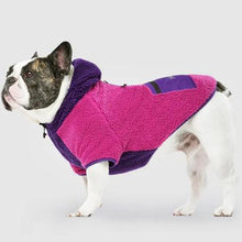 Load image into Gallery viewer, Cool Factor Hoodie  Pink