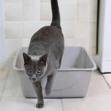 Load image into Gallery viewer, Petmate Basic Litter Box